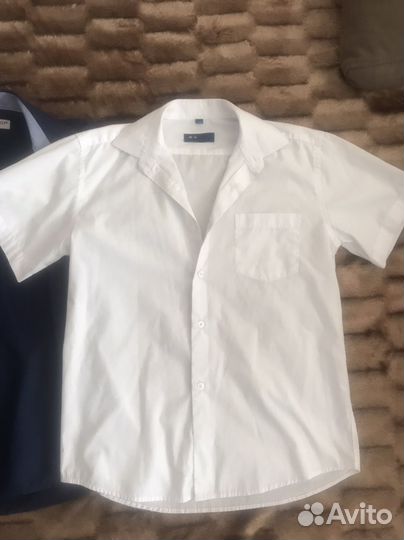 Рубашки школьные и брюки 146-152