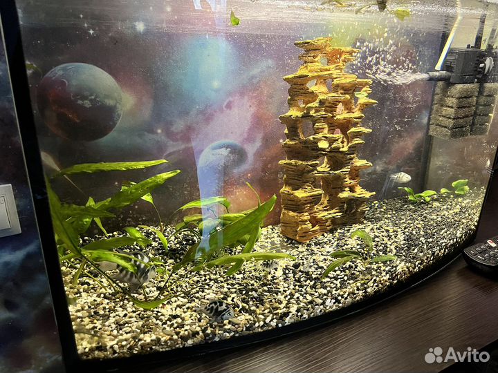 Аквариум