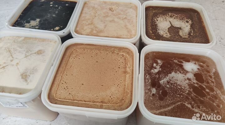 Натуральный мёд 2023 г (опт.)