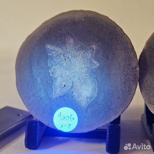 Беломорская рогулька спил полированный, глендонит