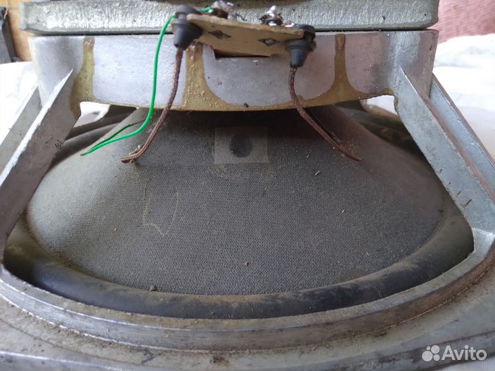 Динамики 75 гдн