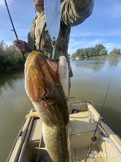 Рыбалка,охота, база «Грэй гусь», подводная охота