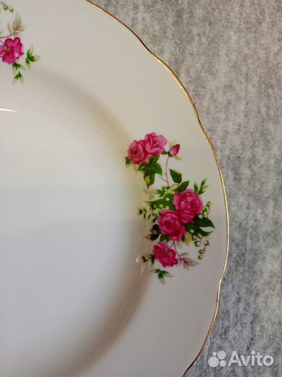 Тарелки 5 шт. фарфор ms china japan розы