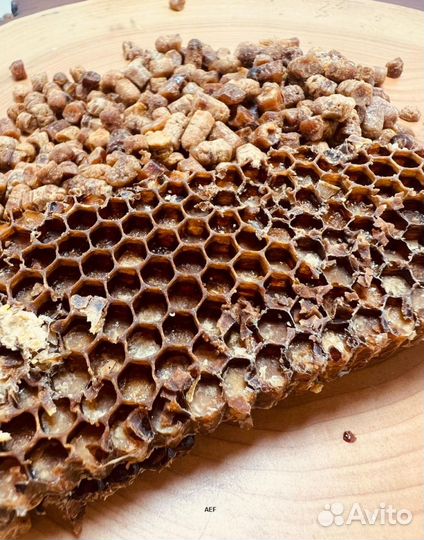 Перга Алтайская