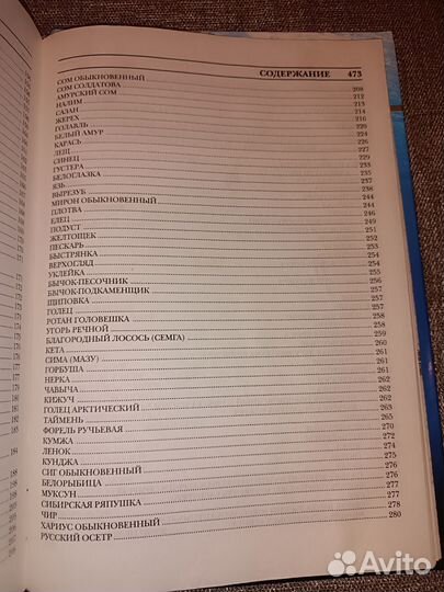 Рыбалка по открытой воде,книга