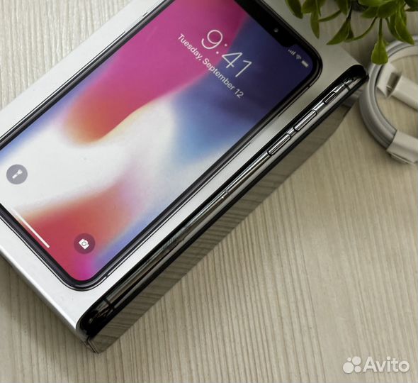 iPhone X, 256 ГБ