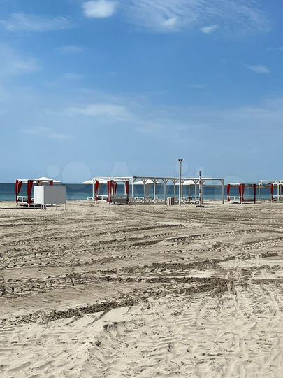 Участок 100 сот. (СНТ, ДНП)