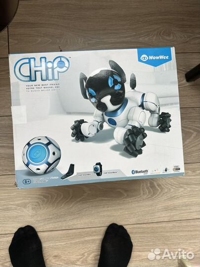 Робот собака chip