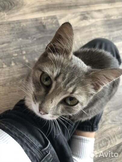 Европейская