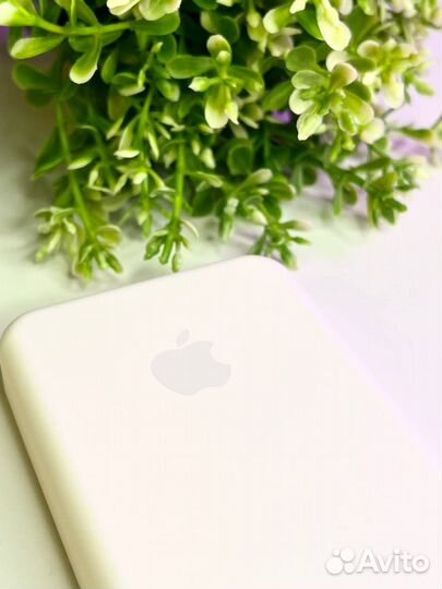 Apple battery pack type-C