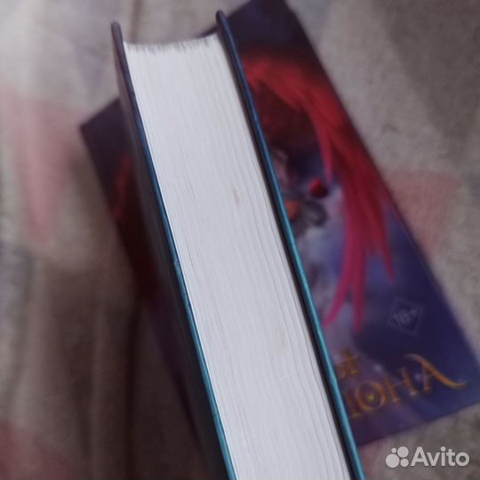 Рейвен Кеннеди 