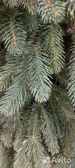 Елка искусственная литая 185