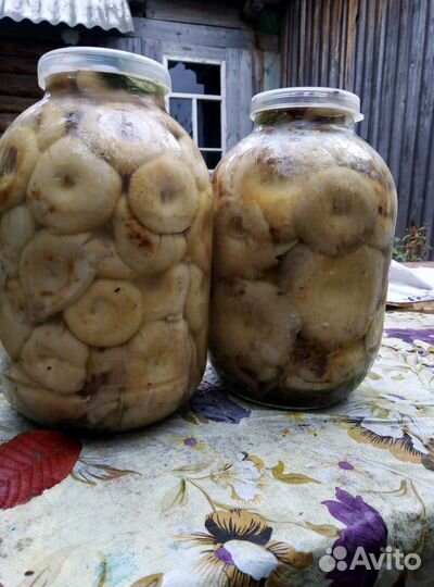 Грибы солёные Грузд