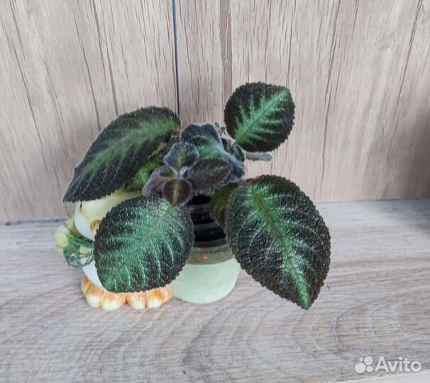 Разные цветы