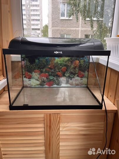 Аквариум Aquael 45