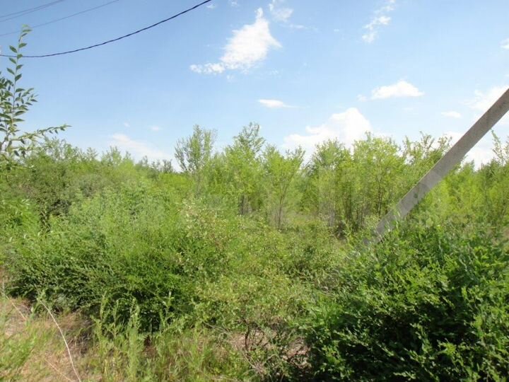 Участок 49,5 сот. (промназначения)