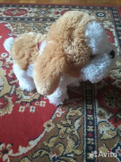 Интерактивная собака Венди