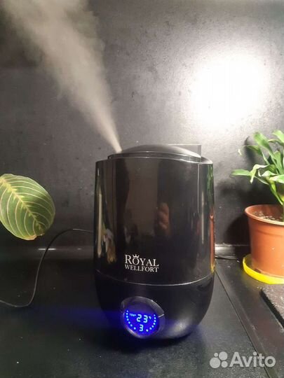 Увлажнитель воздуха Royal
