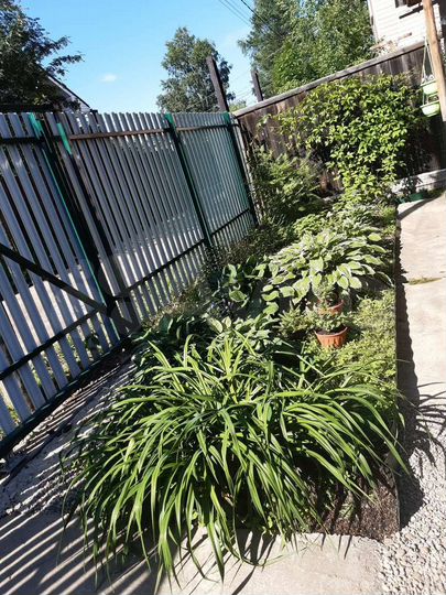 Дом 47 м² на участке 6,09 га