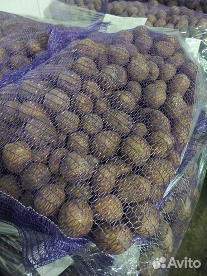 Картошка оптом