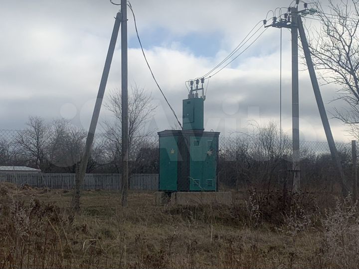 Экоферма по производству куриных яиц