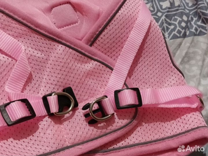 Шлейка для большой собаки XL