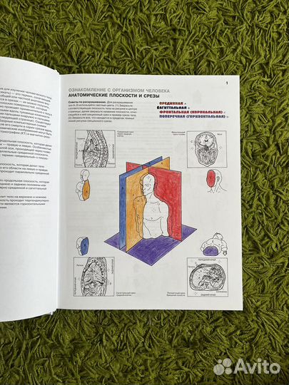 Атлас-раскраска 