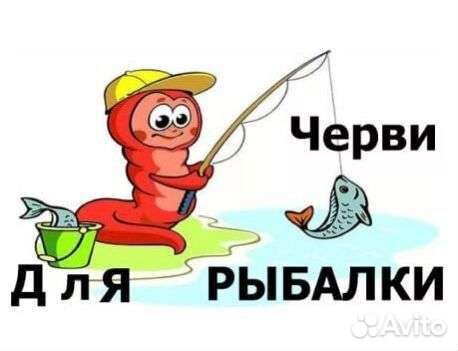 Черви для рыбалки