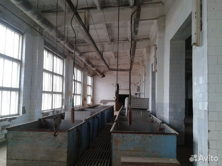 Коптильный цех