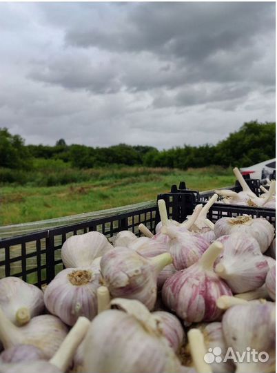 Готовый бизнес с высокой доходностью