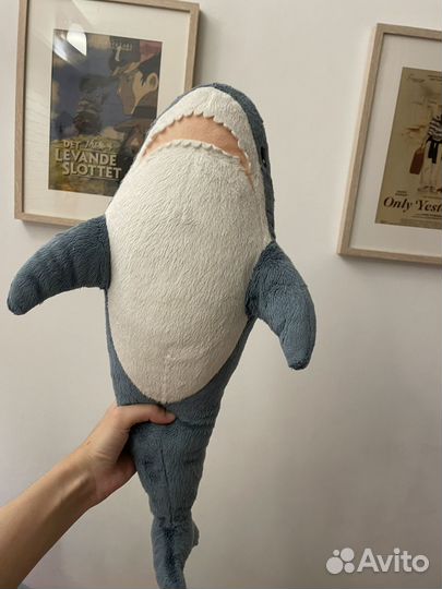 Акула из икеи