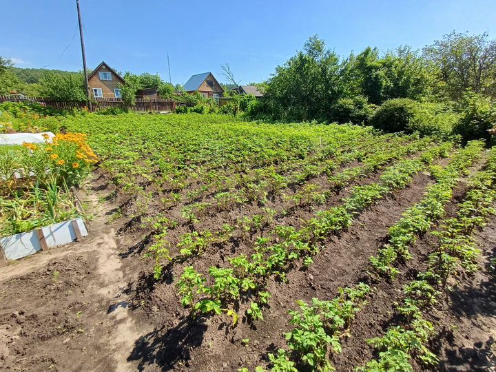 Дача 40 м² на участке 10 сот.