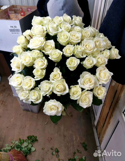 101 роза с доставкой, букет роз с доставкой