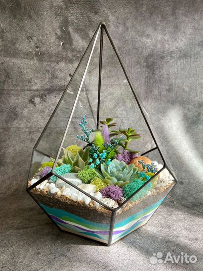Флорариум суккуленты мох подарок