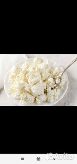 Молоко и молочные продукты