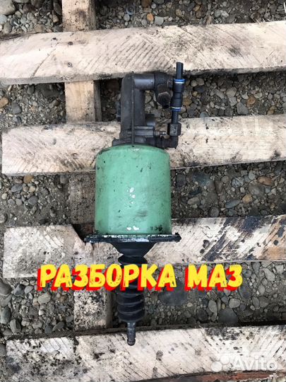 Пгу