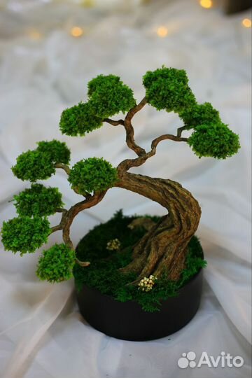 Дерево бонсай натуральное (неживое)
