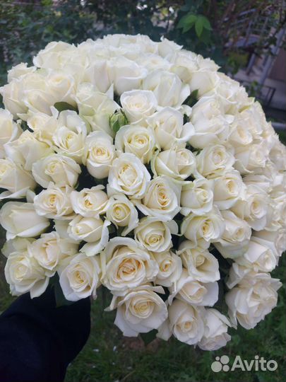 Розы цветы с доставкой