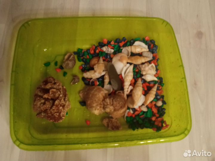 Аквариум для черепах