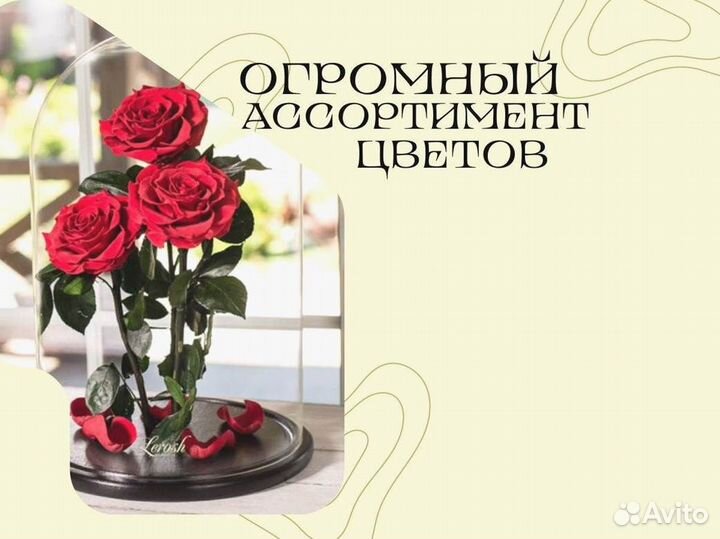 Розы в колбе на выбор