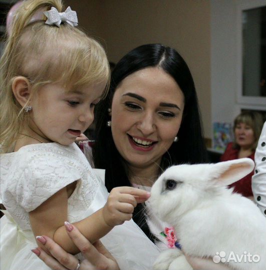 Аниматор Фокусник с животными