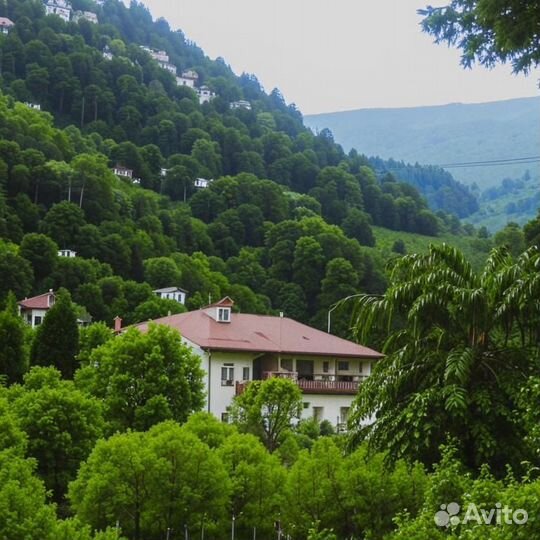 Горящие туры в Абхазию из Омска в мае