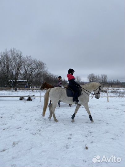 Верховая езда