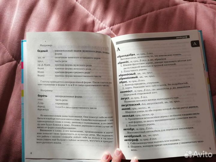 Словарь орфографический и толковый для школьника