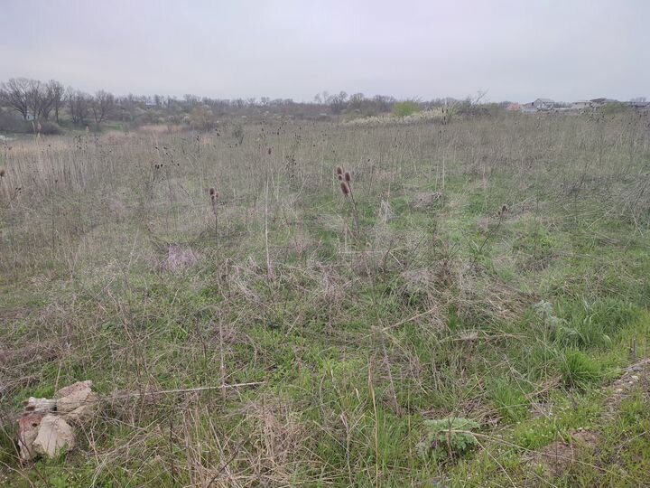 Участок 6 сот. (СНТ, ДНП)