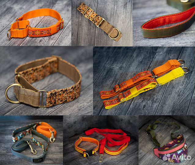 Ошейники и другая амуниция для собак