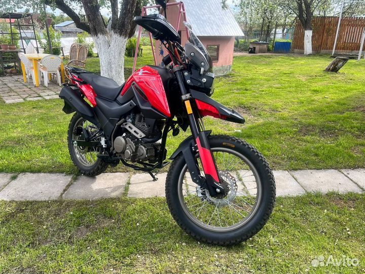 Fireguard 250 trail