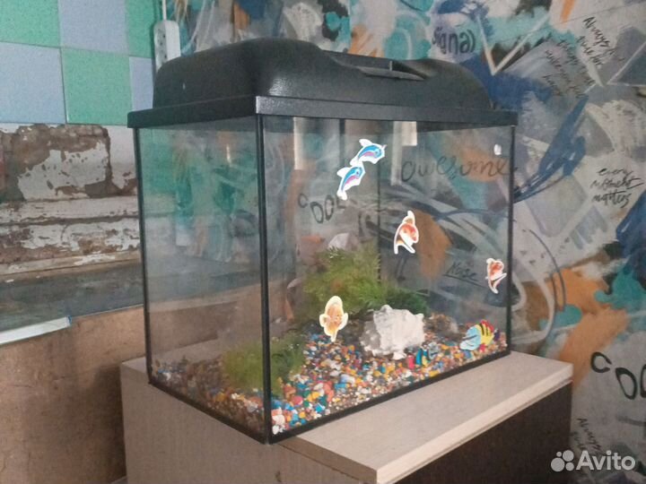 Аквариум