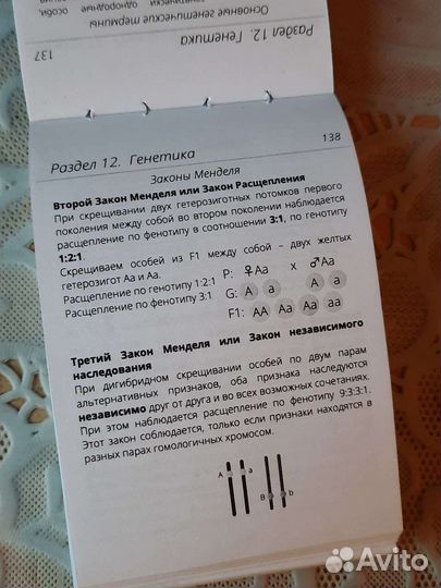 Карманный справочник по биологии от Алёны Бриз