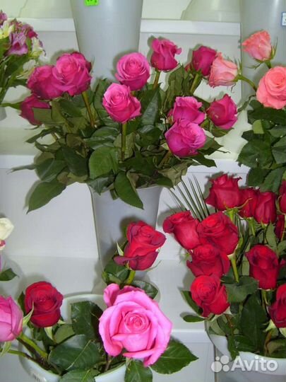 Цветы розы букет